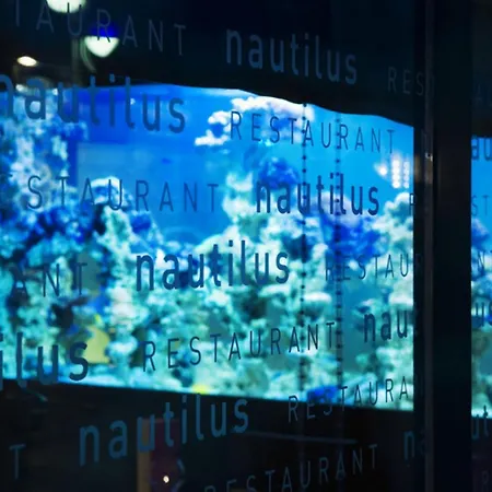 酒店 大洋洲布雷斯特酒店 4*